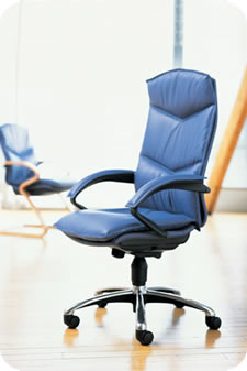 Freeflex Executive Model Task Manager/Executive Seats